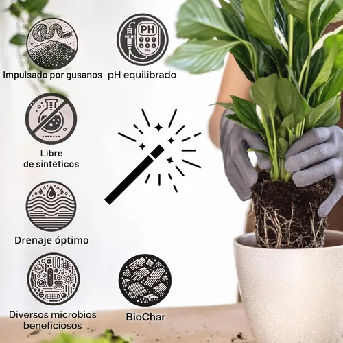 Miniatura 3 de Craft - Mezcla orgánica para macetas para plantas de interior, tierra para plantas de casa Elite, tierra gruesa y bien drenante para todas