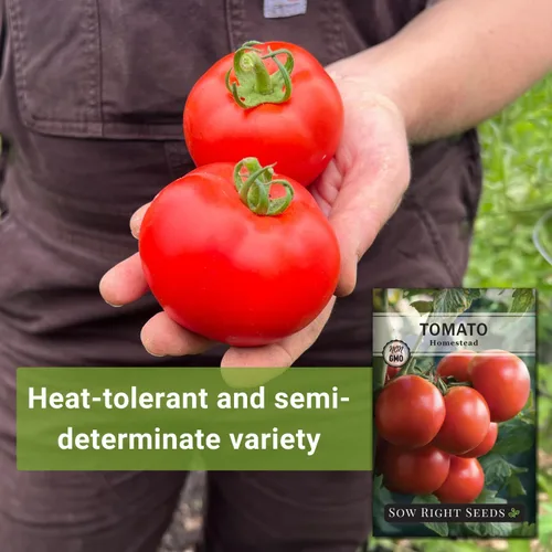 Miniatura 3 de Sow Right Seeds - Semillas de tomate Homestead para plantar - Paquete de reliquia sin OMG con instrucciones para plantar un huerto casero - Variedad