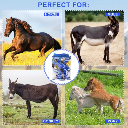 Miniatura 6 de Kit de aseo de 9 piezas con bolsa de mano, juego de cepillos para caballo, raspador de sudor, esponja, púa de pezuñas, peine de curry para jinetes