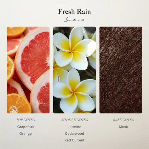 Miniatura 3 de Aceite Difusor Scentiment - Lluvia Fresca Fragancia para Aromaterapia del Hogar Inspirado en Hoteles de Lujo de Cinco Estrellas Aroma Lujoso