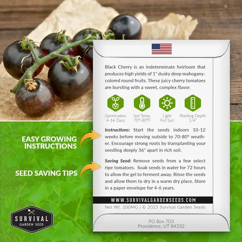 Miniatura 2 de Semillas de tomate cereza negra para plantar – Variedad indeterminada de reliquia sin OMG – Cultiva altos rendimientos de tamaño de morada profunda