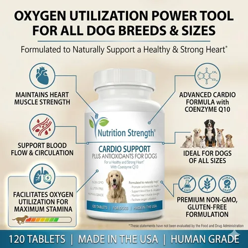 Miniatura 5 de Soporte cardiovascular para perros más antioxidante, L-carnitina, L-taurina, con coenzima Q10 y vitamina E, promueve un corazón de perro saludable