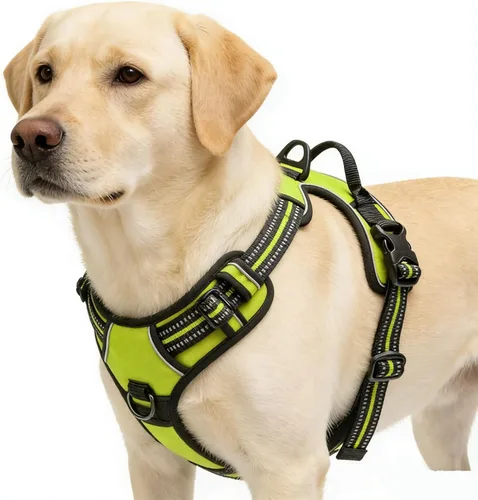 Miniatura 15 de Arnés azul para perro sin tirones con 2 clips para correa, chaleco acolchado suave para perros grandes, chaleco reflectante ajustable para perro