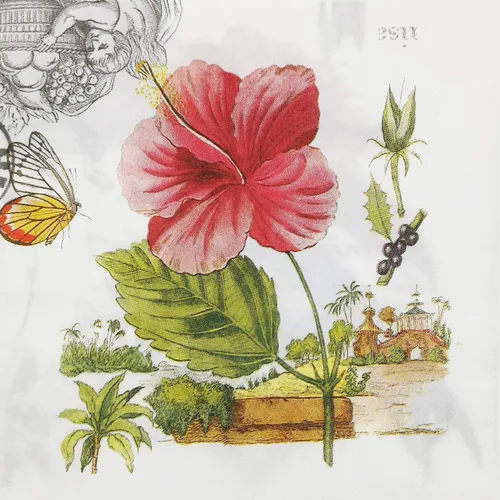 Miniatura 43 de Zelten Servilletas de papel de colores (rosa telar)