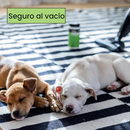 Miniatura 5 de Pet Life Unlimited Polvo desodorante y refrescante para alfombras, seguro para mascotas, aroma a hoja de enebro a base de plantas, fabricado