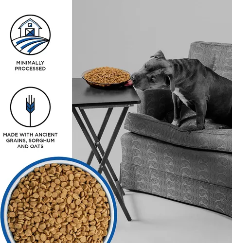 Miniatura 3 de BIXBI Liberty Ancient Grains - Alimento seco para perros, receta de fiesta de aves de caza, carne fresca, alta en proteínas, granos saludables