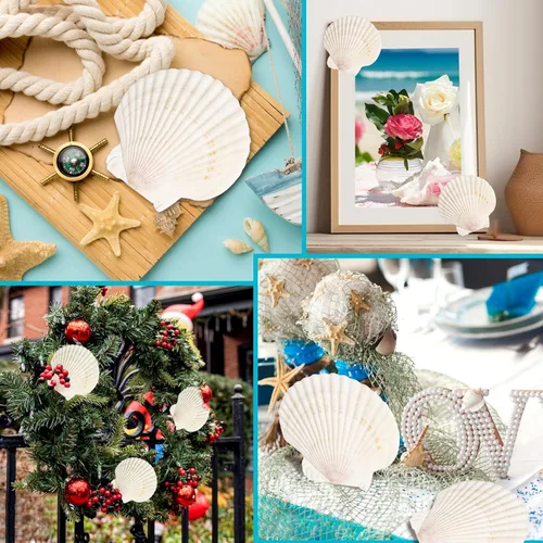 Miniatura 6 de 8 conchas de almeja para manualidades, conchas de vieira naturales de 4 a 5 pulgadas, conchas marinas grandes para manualidades, fiestas temáticas