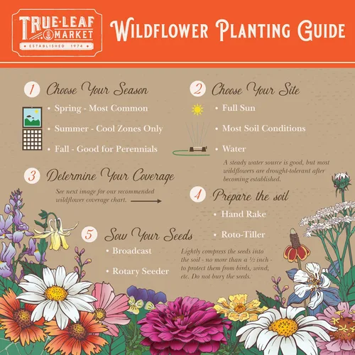 Miniatura 3 de Todas las semillas de flores silvestres anuales mezcladas para plantar - 1 lb ~16,000+ semillas - 21 variedades incluyendo amapola de California