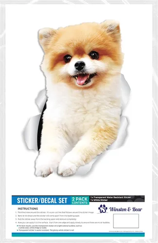 Miniatura 5 de Winston & Bear Calcomanías divertidas de pared de perro de Pomerania, paquete de 2, calcomanías 3D de Pomerania para paredes, automóviles, inodoro