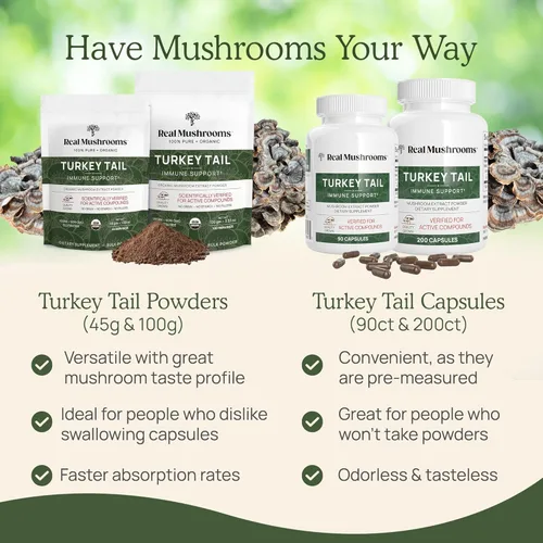 Miniatura 7 de Real Mushrooms Polvo de seta cola de pavo – Extracto de seta orgánico para el bienestar diario, armonía intestinal y apoyo energético con beta