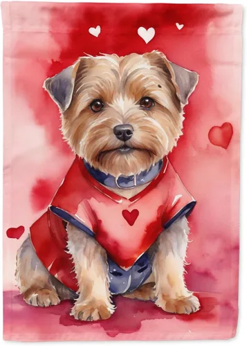 Miniatura 173 de Caroline's Treasures DAC5292CHF - Bandera de Border Collie My Valentine House para porche, grande, con manga para porche, para colgar en la pared