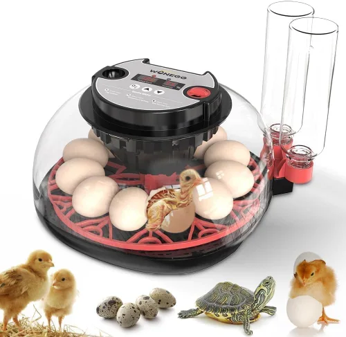 Miniatura 16 de Incubadora de 48 Huevos con Giro Automático y Control de Humedad Incubadora Digital de Aves de Corral para Huevos de Pollo, Pato, Codorniz, Ideal