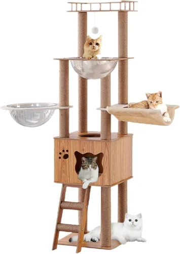 Miniatura 7 de Árbol de madera para gatos de 61 pulgadas con condominio para gatos, postes rascadores de escaleras para gatos, 2 cuencos, postes rascadores