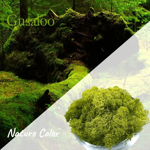 Miniatura 2 de Musgo artificial preservado de musgo para plantas en maceta, musgo verde fresco natural para manualidades, decoración de pared floral, centros
