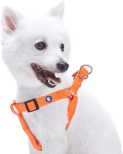 Miniatura 16 de Blueberry Pet Essentials Step-in - Arnés para perro, tamaño mediano, chaleco ajustable rosa fucsia, nailon sólido clásico para perros machos