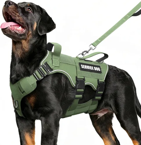Miniatura 11 de Juego de chaleco y correa táctico para perro de servicio, arnés resistente con hebillas de metal para perros de tamaño mediano, chaleco ajustable