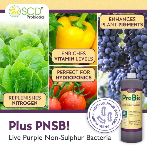 Miniatura 3 de SCD Probiotics ProBio Balance Plus - Haz 20 veces más acondicionador de suelo - Super concentrado de microorganismos beneficiosos eficaces +