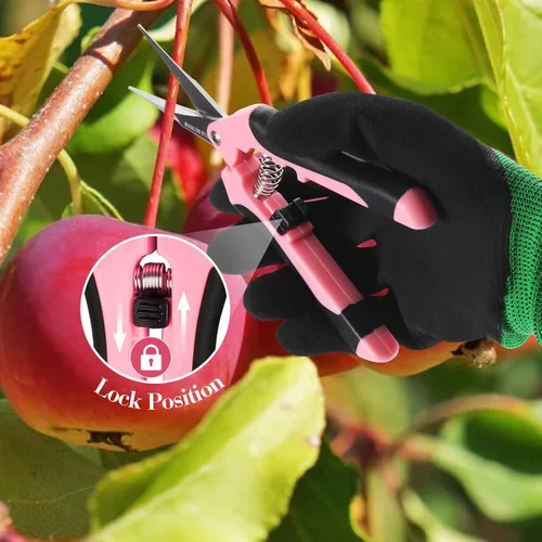 Miniatura 2 de 4 paquetes de tijeras de podar para jardín, con cuchillas de acero inoxidable, tijeras manuales de podar con guantes de jardinería (Rosa)