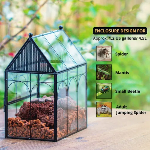 Miniatura 2 de NCYP Recinto de vidrio con orificios de ventilación para insectos, arañas saltadoras, 7.5 x 4.9 x 9 pulgadas, pequeña puerta cerrada de apertura