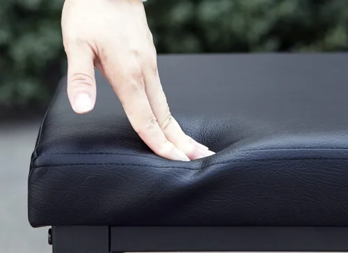 Miniatura 6 de Finnhomy Zapatero de entrada con asiento acolchado, banco de zapatos para entrada, banco de almacenamiento de 2 estantes con parte superior de cuero
