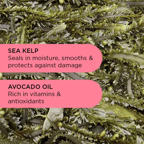 Miniatura 6 de Noughty Acondicionador definidor 97% Natural Wave Hello Curl para acondicionar, suavizar y definir los rizos con extracto de algas marinas y aceite