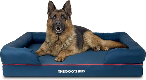 Miniatura 30 de The Dog's Bed - Cama ortopédica de espuma viscoelástica para perros medianos, colchón de soporte de alta densidad, entrada frontal baja, funda negro