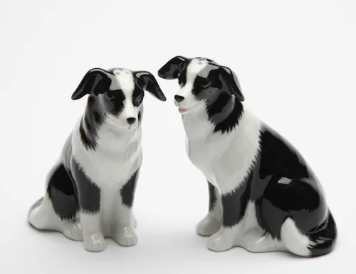 Cosmos Gifts 20870 Juego de salero y pimentero de porcelana fina Border Collie, 3-3/8 pulgadas