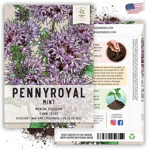 Miniatura 6 de Seed Needs, Pennyroyal - Semillas de menta – 1000 semillas tradicionales para plantar mentha pulegium – Hierba medicinal sin OMG y sin tratar