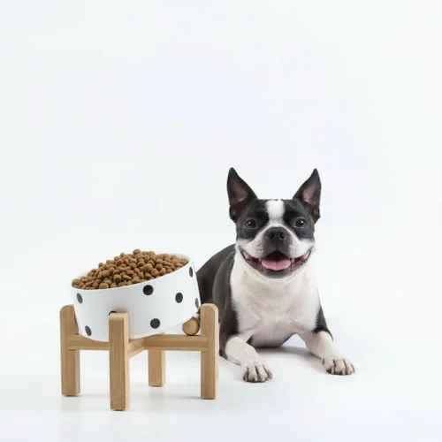 Miniatura 15 de Petygooing Cuenco Elevado/Alzado de Cerámica Inclinado 15° para Perros de Razas Pequeñas y Medianas, Cuenco Inclinado Antideslizante para Verde óxido