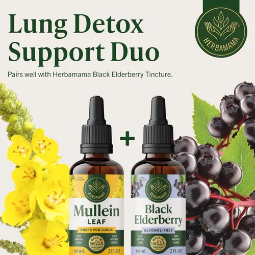 Miniatura 7 de HERBAMAMA Gotas de Gordolobo para los Pulmones - Limpieza Pulmonar Vegana con Extracto de Hoja de Gordolobo, Tintura de Equinácea y Regaliz