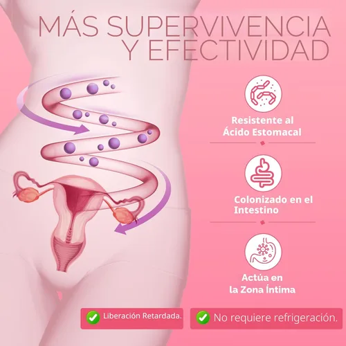 Miniatura 7 de Suplementos de menopausia 40 en 1 para mujeres, multibeneficio y cohosh negro completo para sofocos, sudores nocturnos y equilibrio hormonal