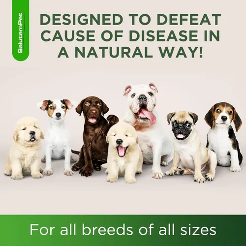 Miniatura 6 de Antibióticos naturales para perros y cachorros Antibióticos para perros de todas las edades Ingredientes a base de hierbas Ayuda con alergias