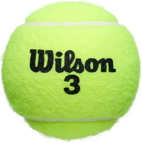 Miniatura 3 de Wilson Roland Garros - Pelotas oficiales
