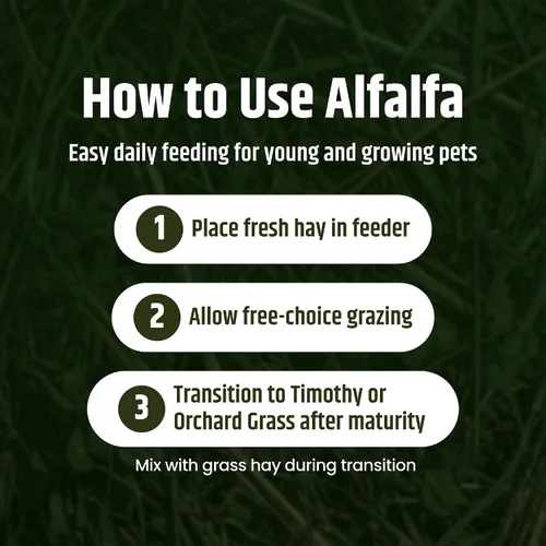 Miniatura 7 de High Desert Heno de alfalfa, alimento de hojas blandas rico en proteínas para animales jóvenes en crecimiento, alimento natural para conejos y heno