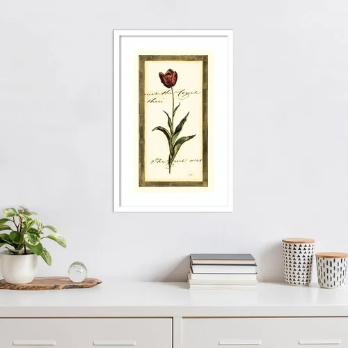 Miniatura 4 de Amanti Art Impresión artística enmarcada para pared, 17 x 25 pulgadas, diseño de tulipán I de Vision Studio, póster enmarcado para decoración