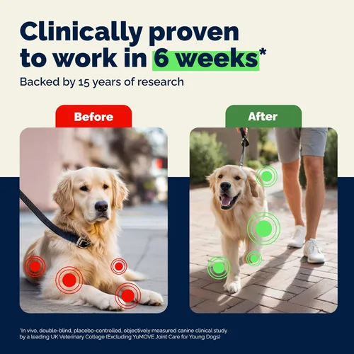 Miniatura 3 de YuMOVE Suplemento para articulaciones de perros mayores con mejillón ActivEase de labios verdes - Glucosamina para perros, ácido hialurónico y Omega