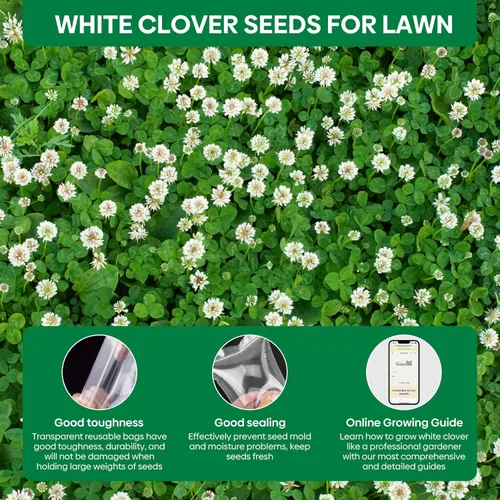 Miniatura 6 de Groundio White Clover Seeds for Lawn Alternative