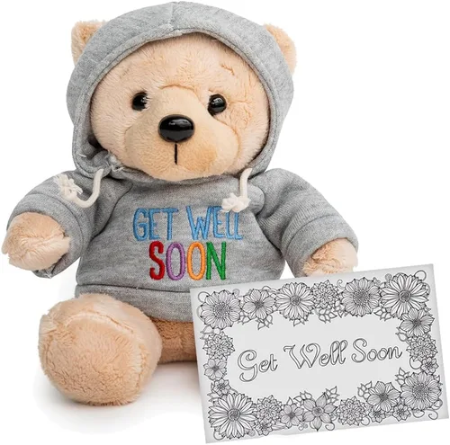 Ganz Oso de peluche Get Well Soon de 9 pulgadas con capucha gris, regalo para niños y mujeres (animal de peluche de nariz bronceada)