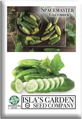 Semillas de pepino Spacemaster, más de 100 semillas tradicionales por paquete, semillas de jardín de Isla (semillas de jardín de Isla), semillas sin