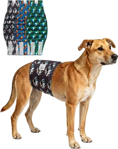 Miniatura 52 de CuteBone - Pañales lavables para perro macho, banda abdominal, paquete de 3 unidades, color negro, modelo DM54XS