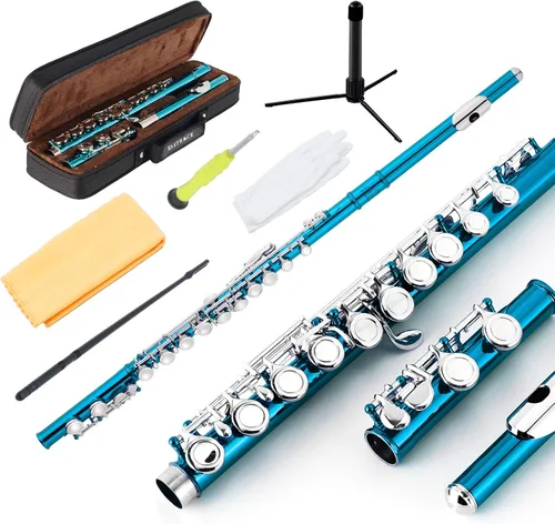Miniatura 8 de EASTROCK Flautas de agujero cerrado C de 16 teclas para principiantes, niños, estudiantes, flauta de níquel plateado con soporte para estuche y kit