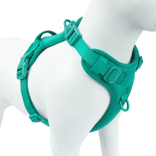 Miniatura 9 de Arnés sin tirones para perro, chaleco para cachorros con clip frontal para perros pequeños, medianos y grandes (verde niebla, M)