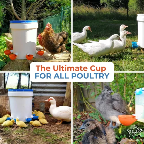 Miniatura 8 de Lil Clucker - Vasos de agua automáticos grandes azules adecuados para patos, gansos, pavos y conejos, kit de alimentador de agua, bebedero para aves