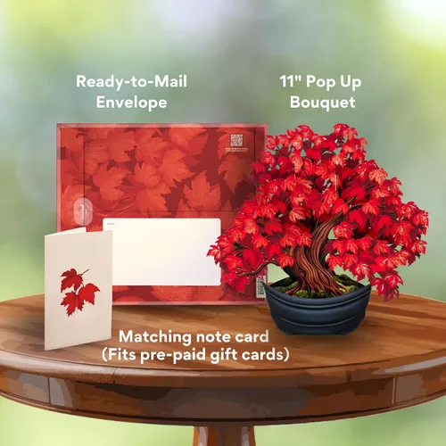 Miniatura 3 de Freshcut Paper Tarjetas desplegables, árbol de arce rojo, ramo de flores de tamaño real de 12 pulgadas, tarjeta de felicitación emergente 3D