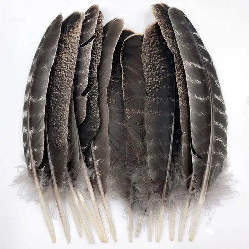 Miniatura 12 de Plumas de pavo negro, pluma larga natural grande de 10 a 13 pulgadas, plumas bilaterales de tamaño grande para manualidades, 12 piezas (pavo negro)
