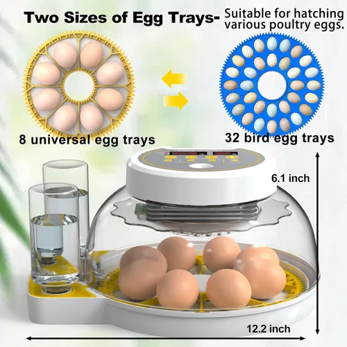 Miniatura 2 de Incubadoras de huevos para incubar huevos, incubadora de huevos de pollo 8/30 con giro automático de huevos, control de temperatura y pantalla