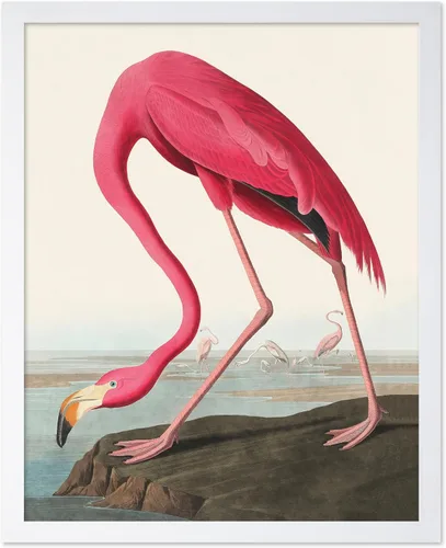 Miniatura 33 de Poster Master Vintage James Audubon Póster - Impresión Retro de Cuervo - Arte de Aves de América - Arte de Aves - Regalo para Hombres, Mujeres