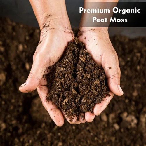 Miniatura 2 de Musgo de turba orgánico, 3.8 pies cúbicos - 100% musgo de turba Sphagnum, SEMI comprimido, para plantas en macetas y inicio de semillas - Jardinería