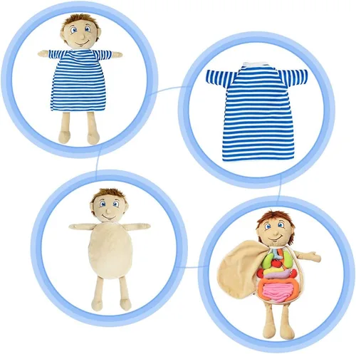 Miniatura 9 de vocheer Juguete de anatomía del cuerpo humano, juguetes de peluche de órgano educativo Montessori preescolar para niños, kits de aprendizaje