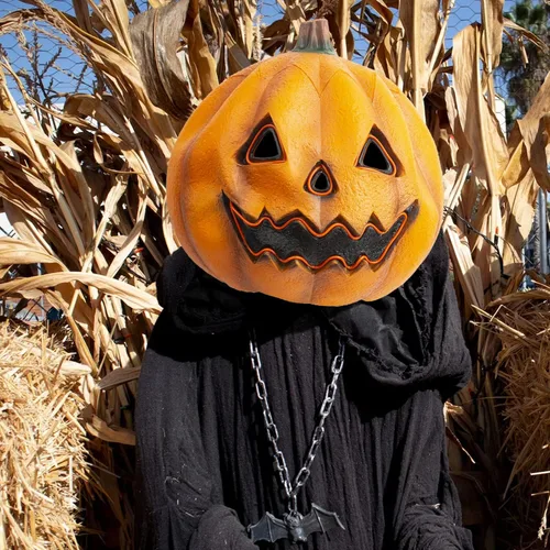 Miniatura 5 de PartyHop Máscara de calabaza con luz LED, máscara de cabeza completa, disfraz de calabaza para fiesta de disfraces de Halloween